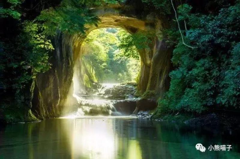 紫色系