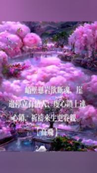 救援聪明男孩